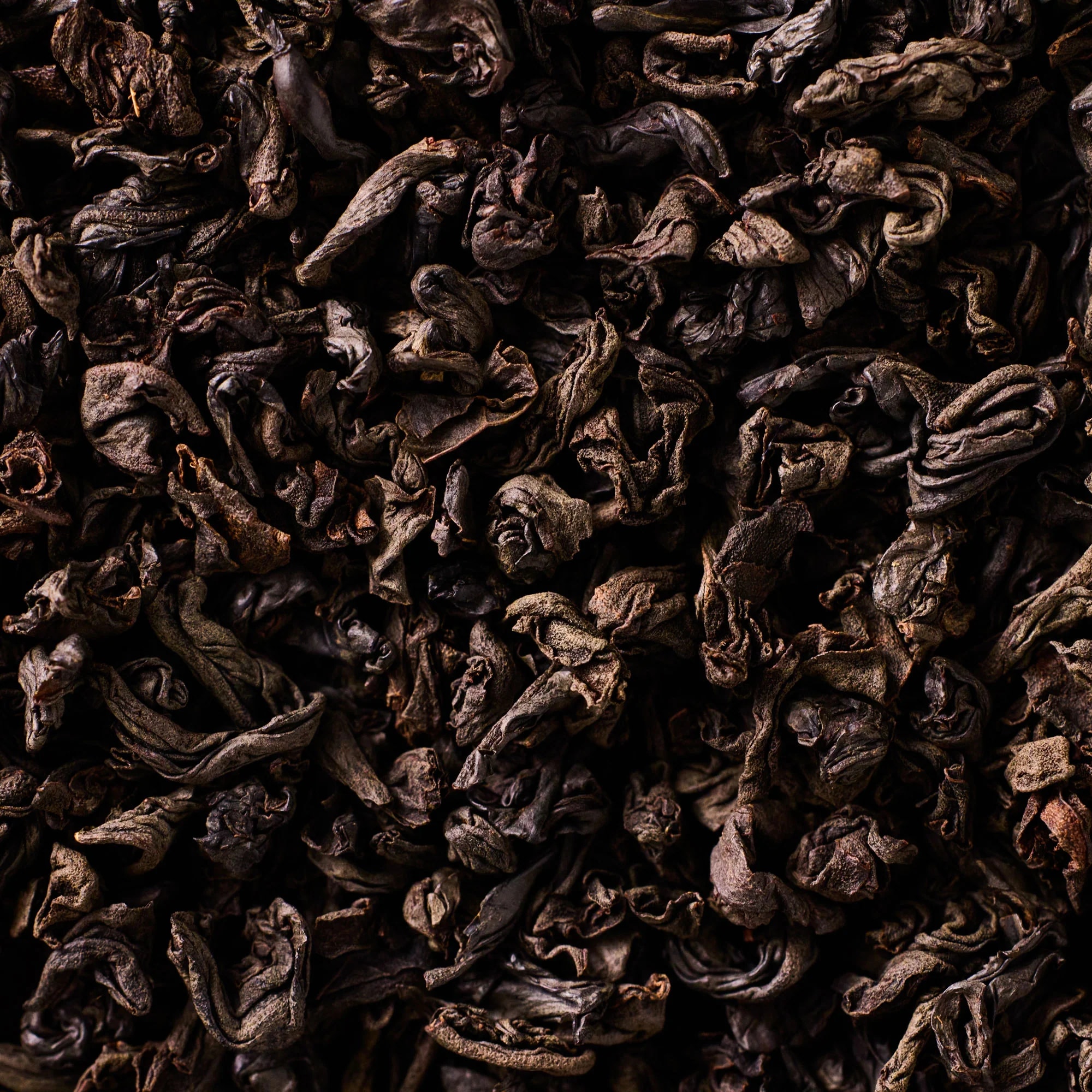 black-oak-pack-ceylon-black - ceylon-macro-2.jpg