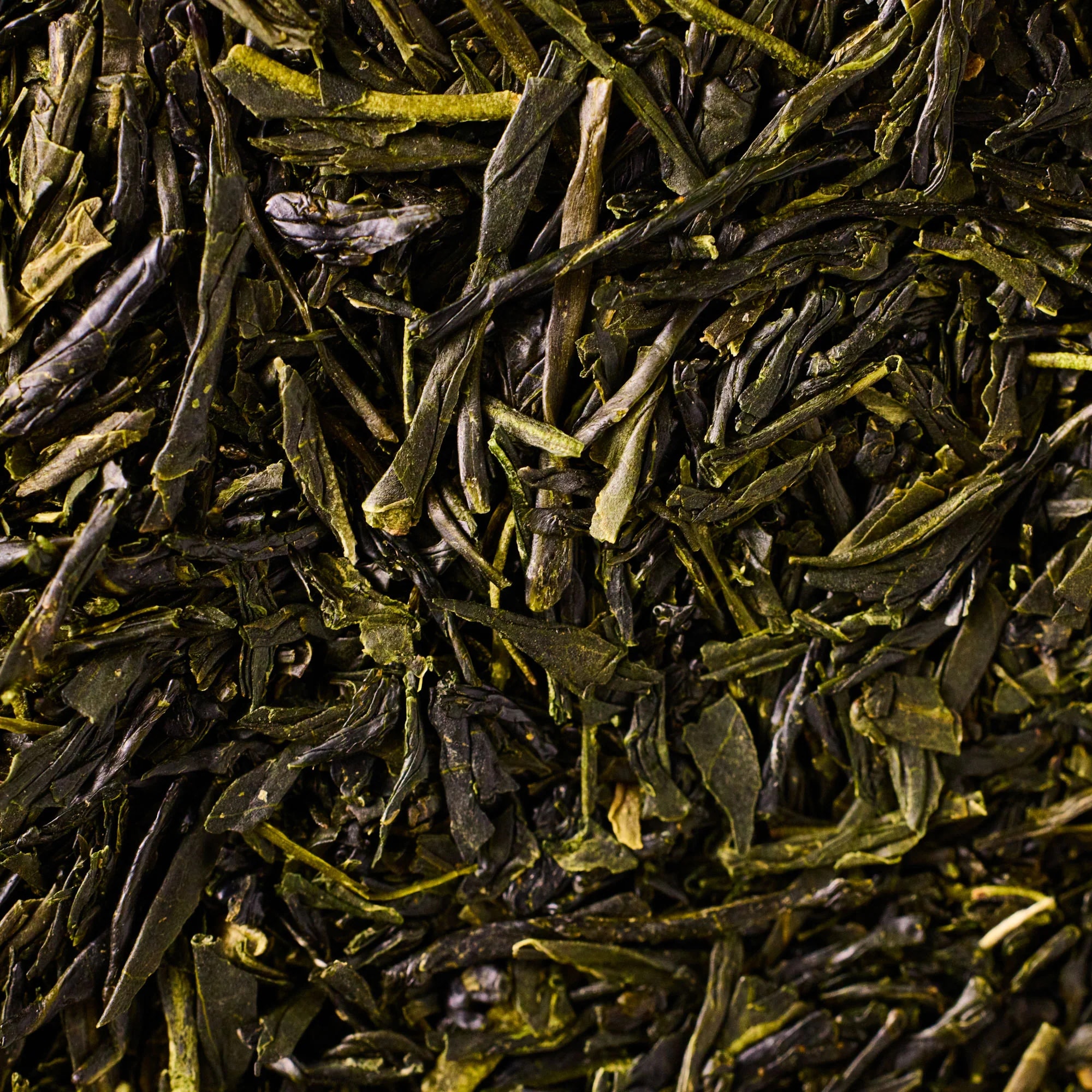 black-oak-pack-kyoto-sencha-green - kyoto-sencha-green-macro-2.jpg