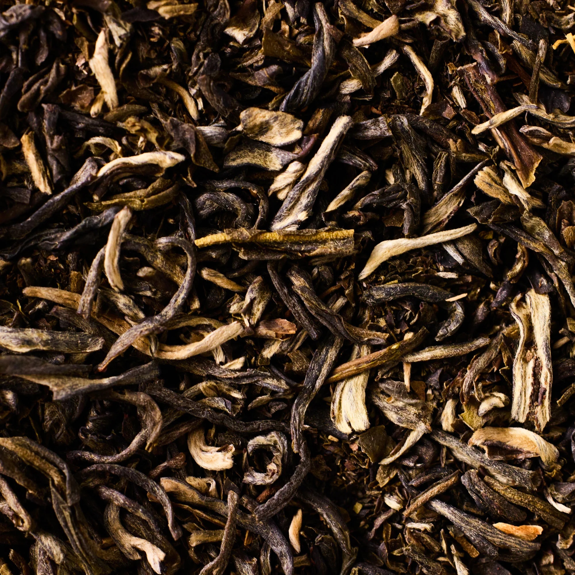 black-oak-pack-yin-hao-jasmine - yin-hao-jasmine-2.jpg